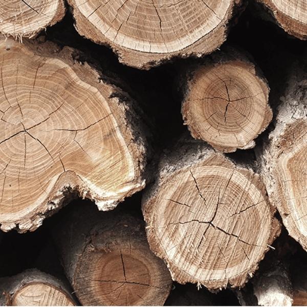 堅持高品質木材